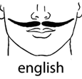 การไว้หนวดแบบ English